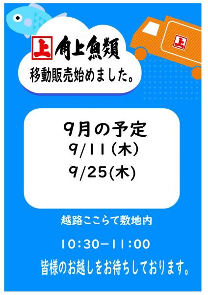 角上魚類