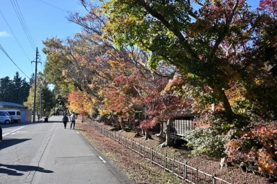 momijien20251116-6853