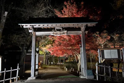 momijien20251116-6977