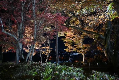 momijien20251116-7025