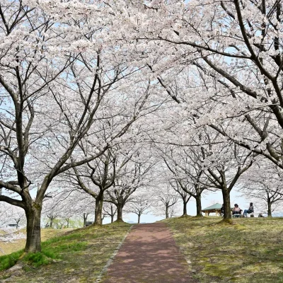 越路河川公園